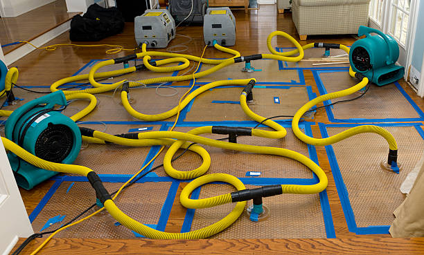 Professional Sewage Cleanup technician working in Shelby, OH